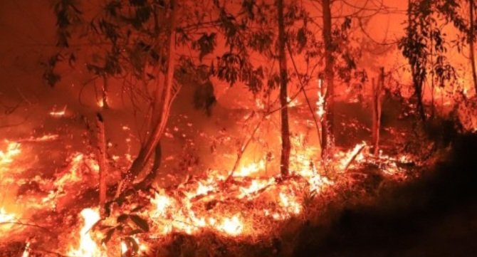 BMKG Ingatkan El Nino Ekstrem Picu Karhutla, Hujan Baru Turun Oktober