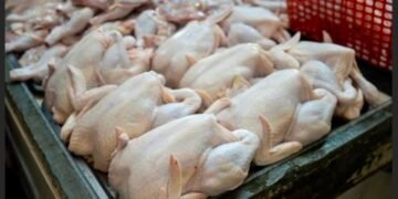 Daging Ayam Akan Sumbang Inflasi Besar Pada Bulan Agustus, Tren Kenaikannya Belum Terputus