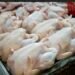 Daging Ayam Akan Sumbang Inflasi Besar Pada Bulan Agustus, Tren Kenaikannya Belum Terputus
