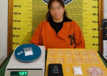 Satresnarkoba Polres P. Sidimpuan Amankan Pengedar Sabu