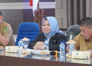 Tiorita Perintahkan Penertiban Kendaraan Dinas, Aset Langkat Harus Jelas dan Tertib