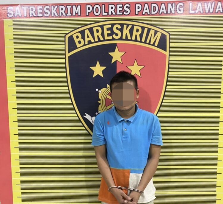 Sempat jalani Rehabilitasi Narkoba, Buron Pencuri Sawit PT. Bararapa di ringkus Satreskrim Polres Padang Lawas