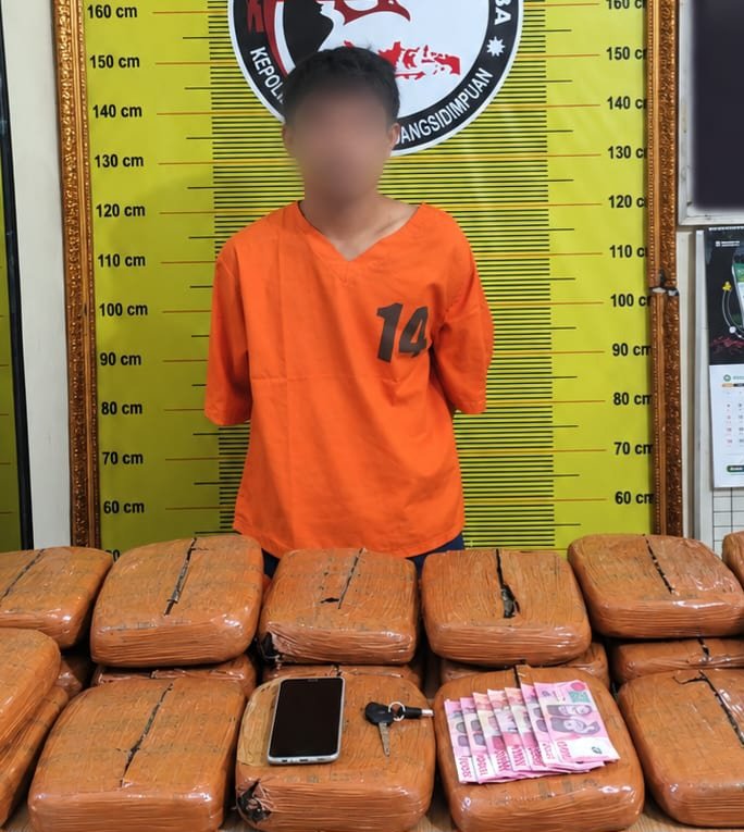 Polres Padangsidimpuan Amankan 1 Tersangka dan 20 Kg Ganja