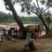 Getek Pantai Cermin – Kebun Kelapa Berlayar Tanpa Izin