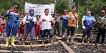 Gerilya Sang Pejuang Alam, Menjaga Mangrove dan Operasional Pertamina EP Pangkalan Susu