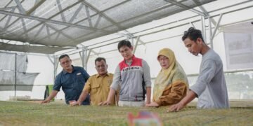 Pulih Pasca Banjir, Kelompok Tani Pertamina EP Rantau Panen Cabai