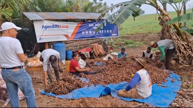 Raja Edward Sebayang Serap Aspirasi Petani Uruk Biru Pametar, Dorong Pembangunan Jalan Usaha Tani
